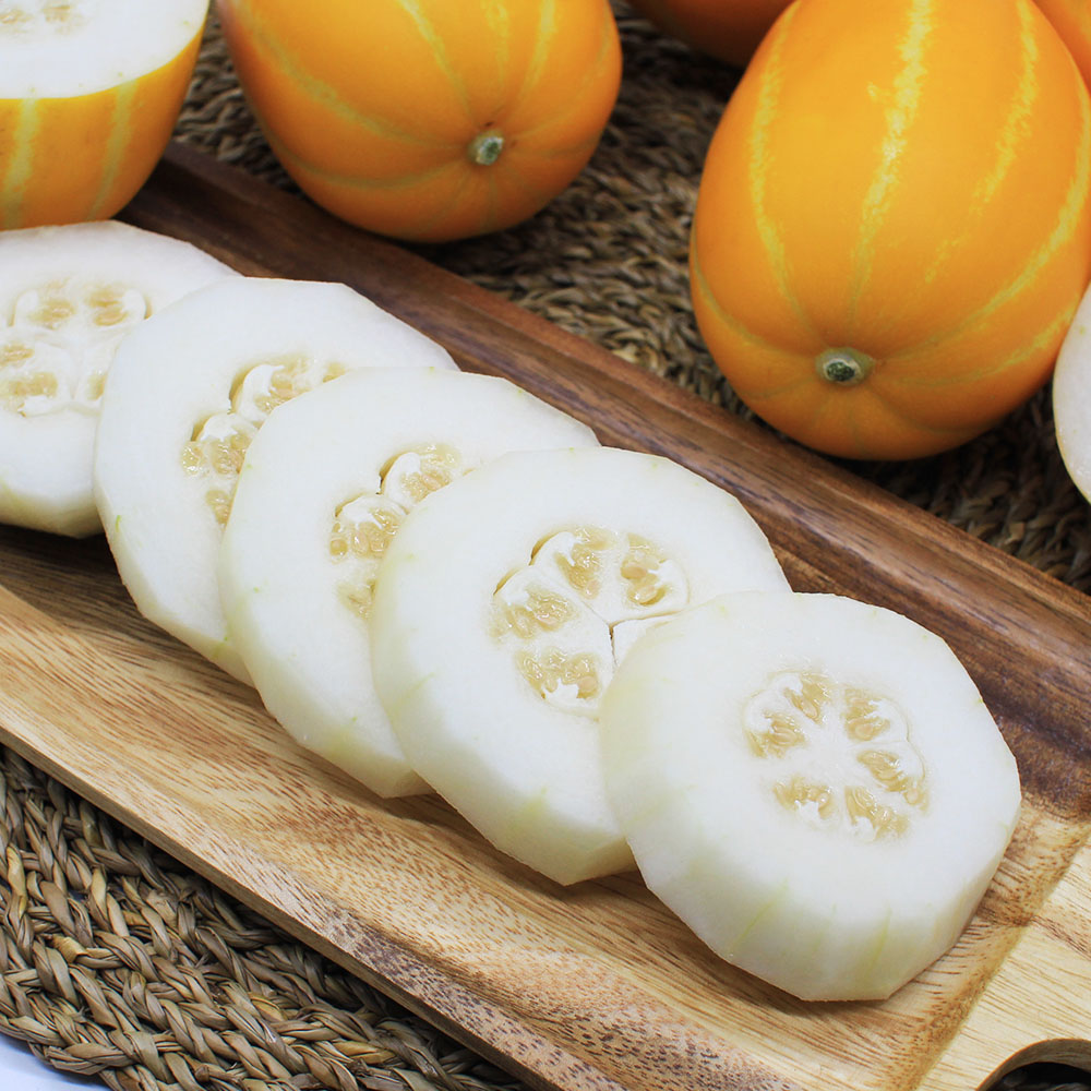 1718253477 thumbnail