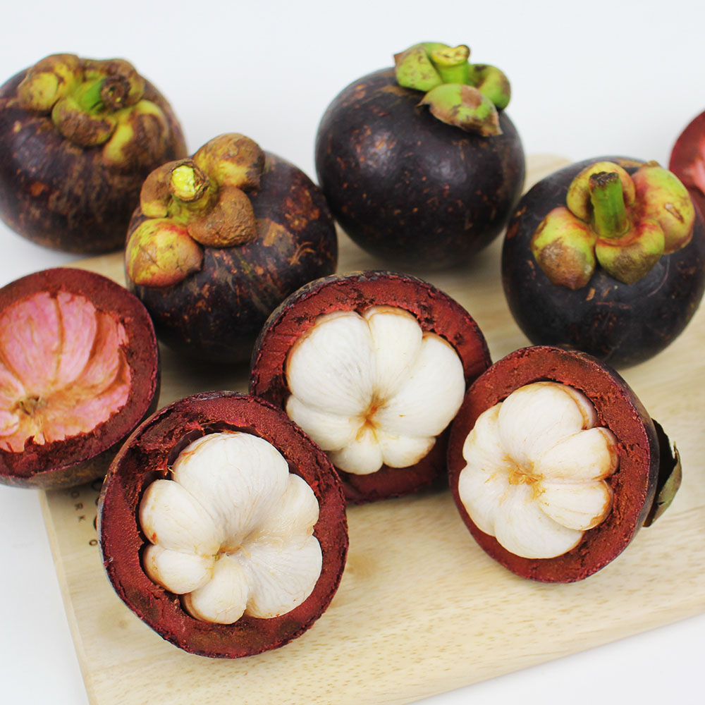 1718253481 thumbnail