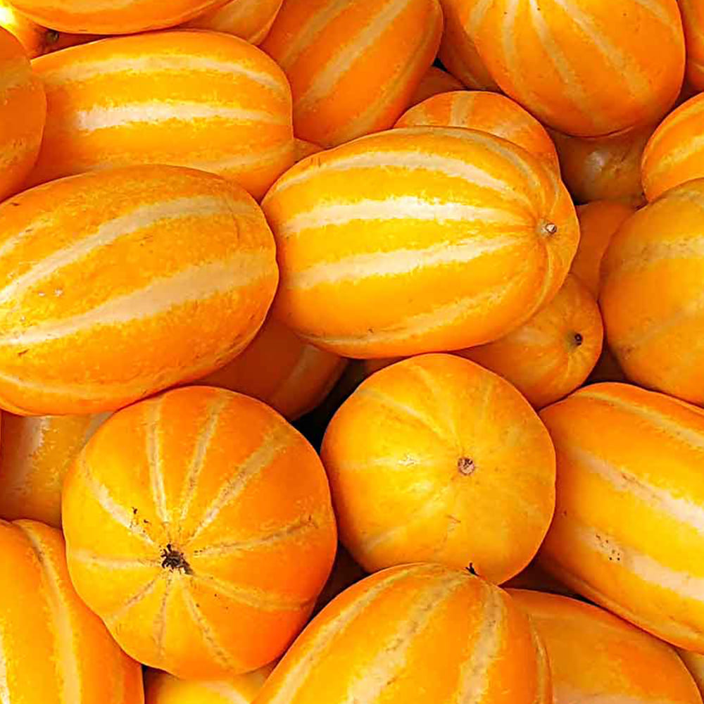 1718336717 thumbnail