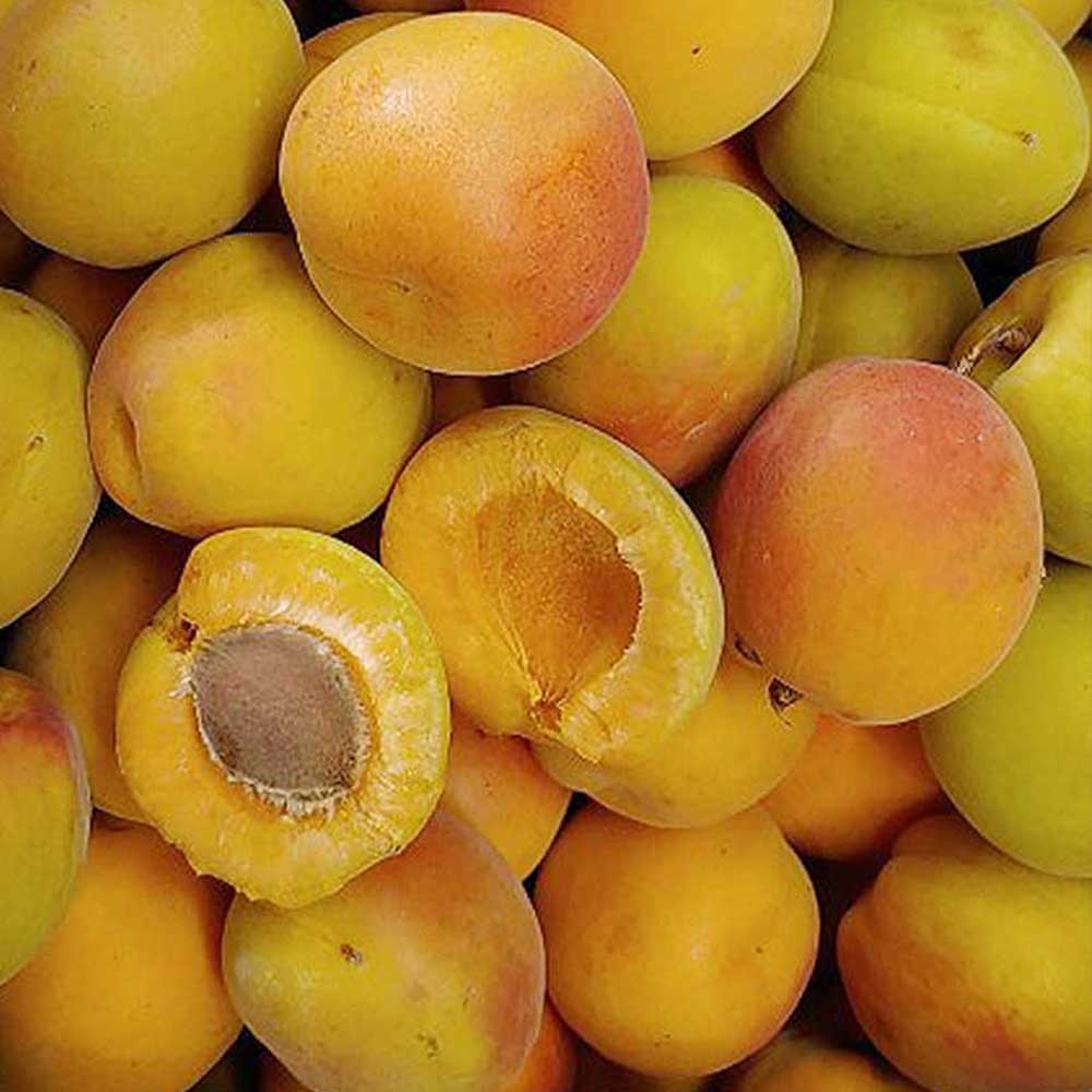 1718336727 thumbnail