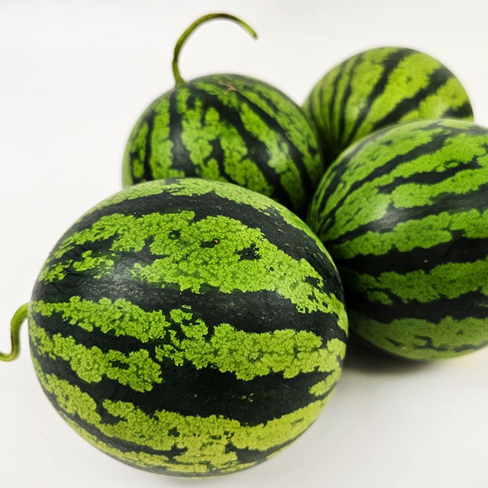 1718336731 thumbnail