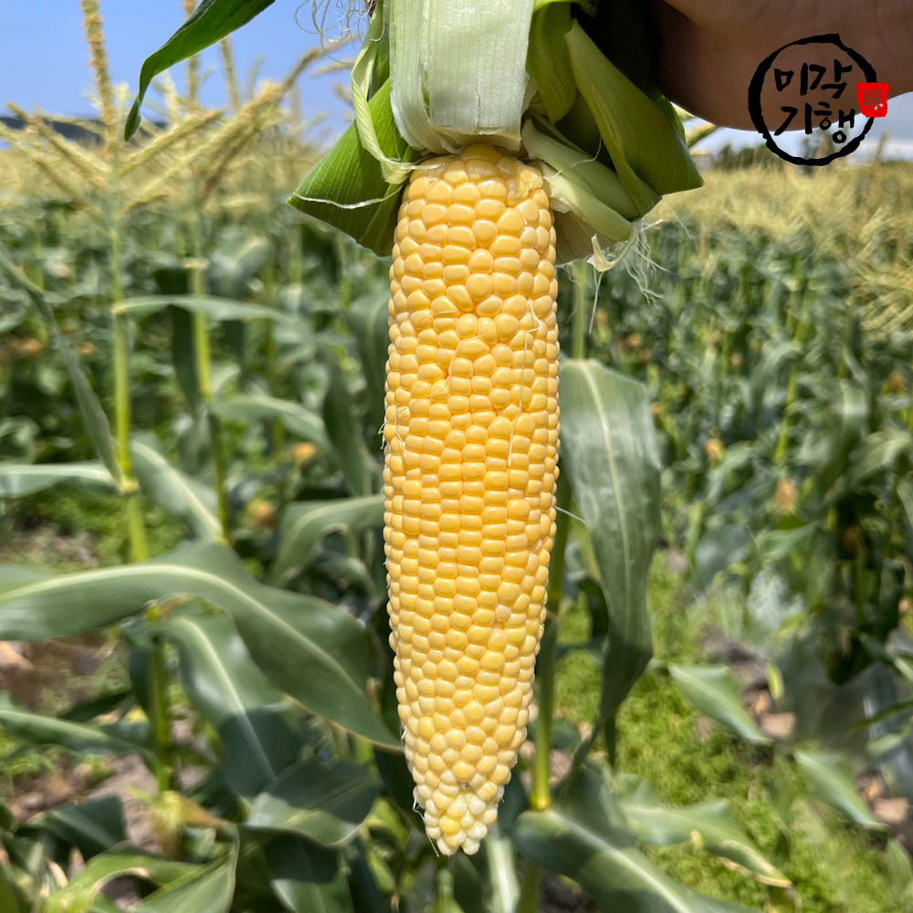 1718336749 thumbnail