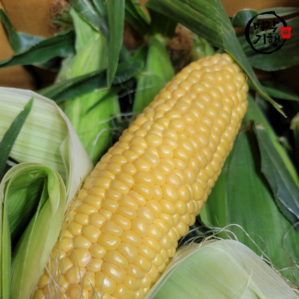 1718336751 thumbnail