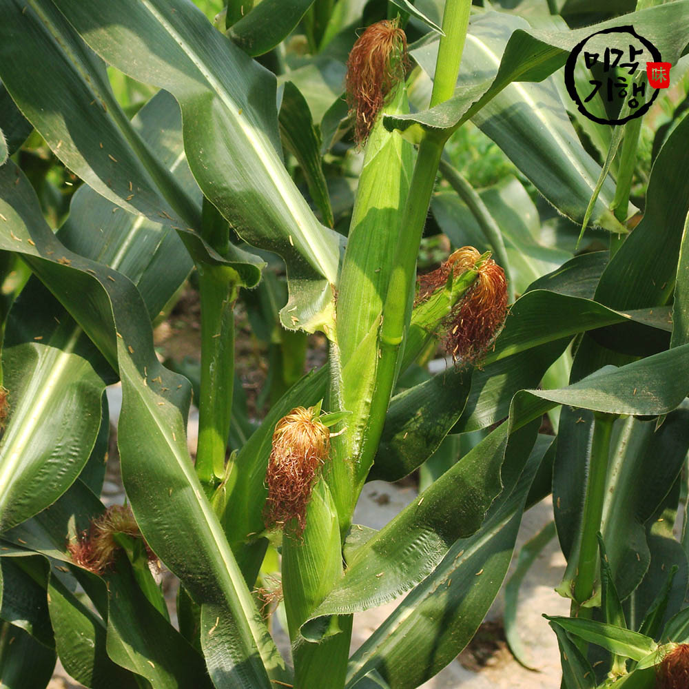 1718336753 thumbnail