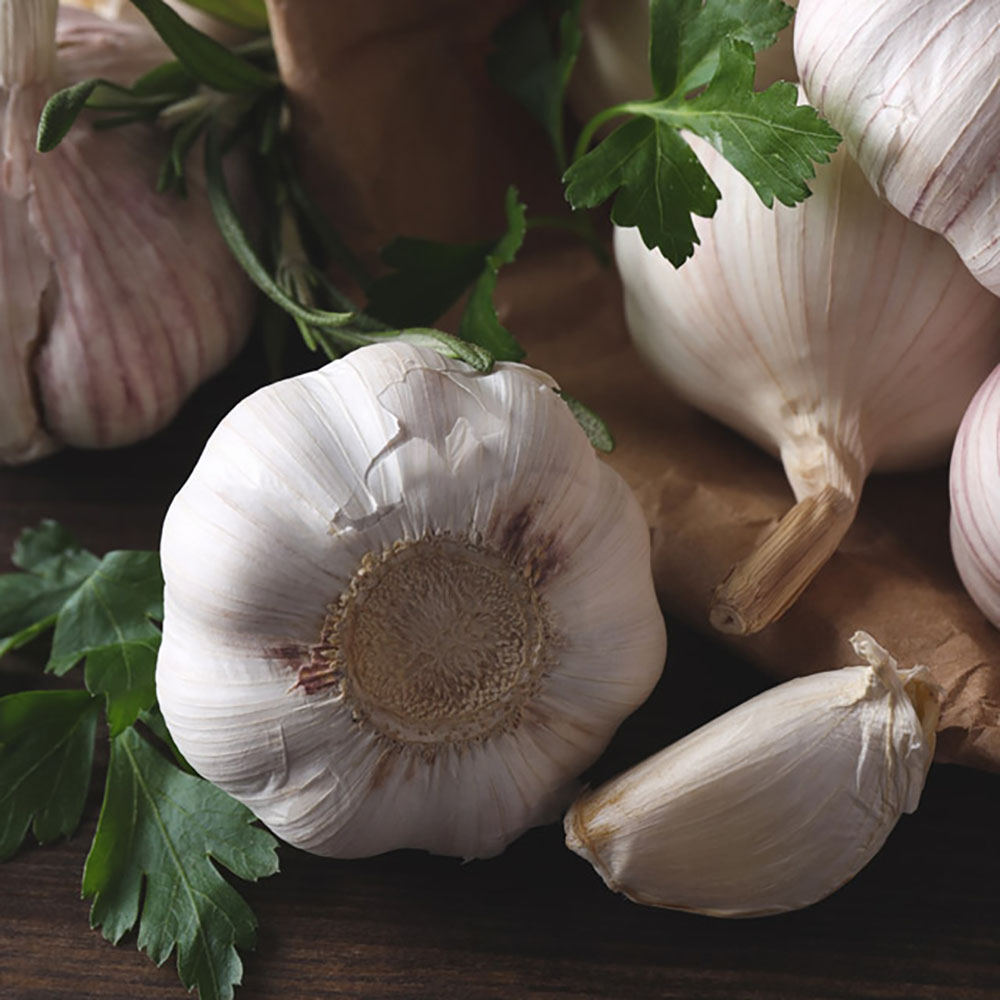 1718336765 thumbnail