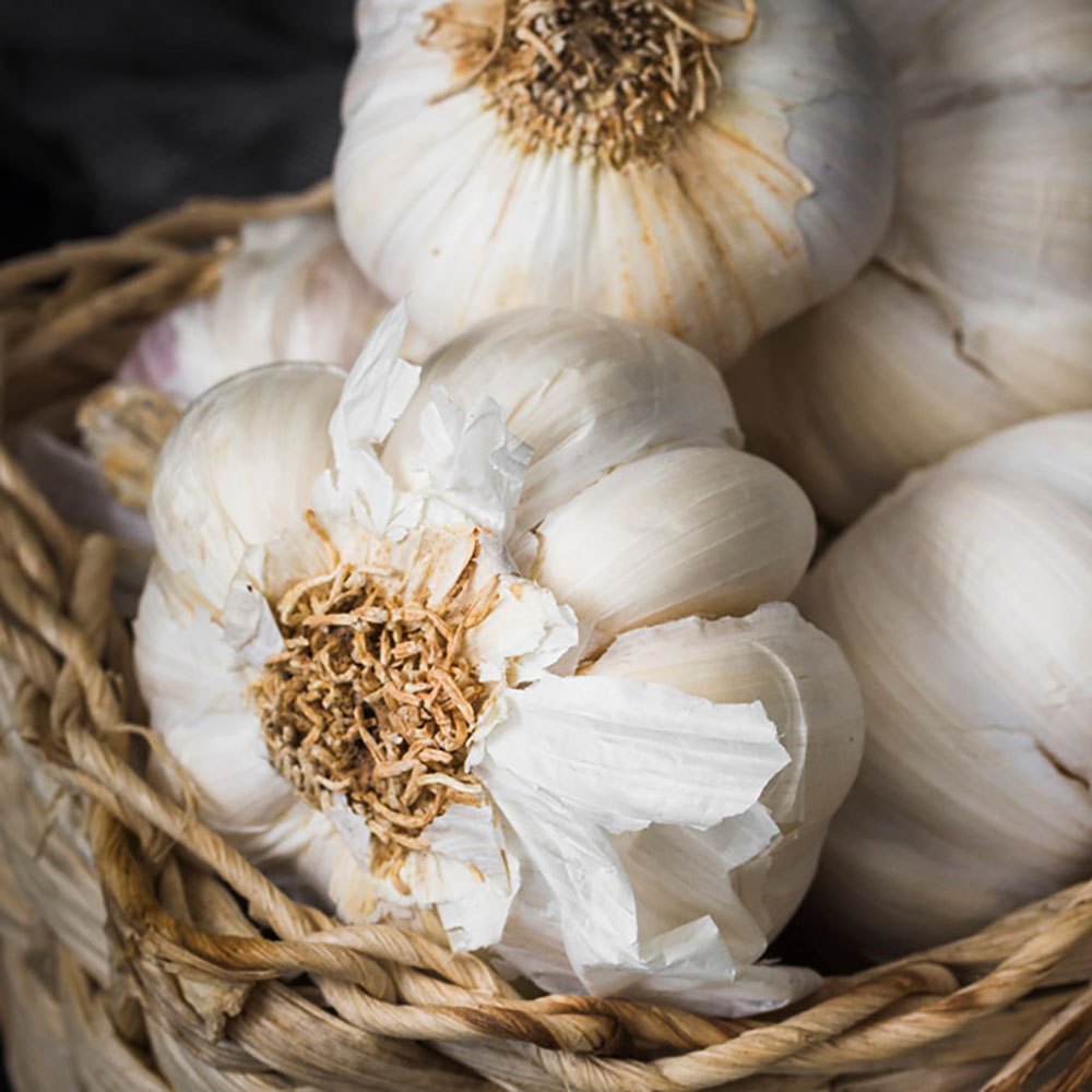 1718336770 thumbnail