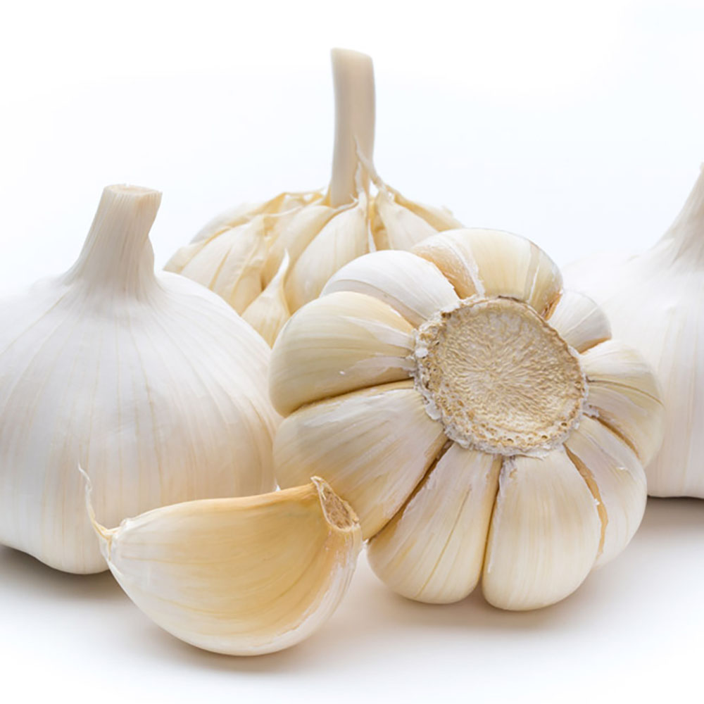 1718336774 thumbnail