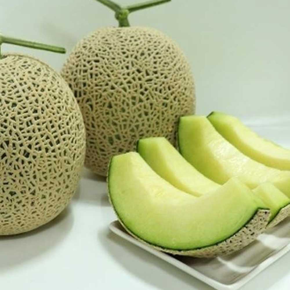 1718590324 thumbnail