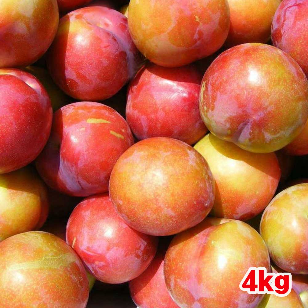 1718590326 thumbnail