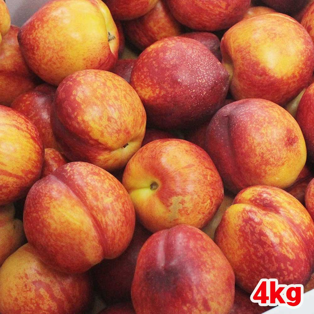 1718590328 thumbnail