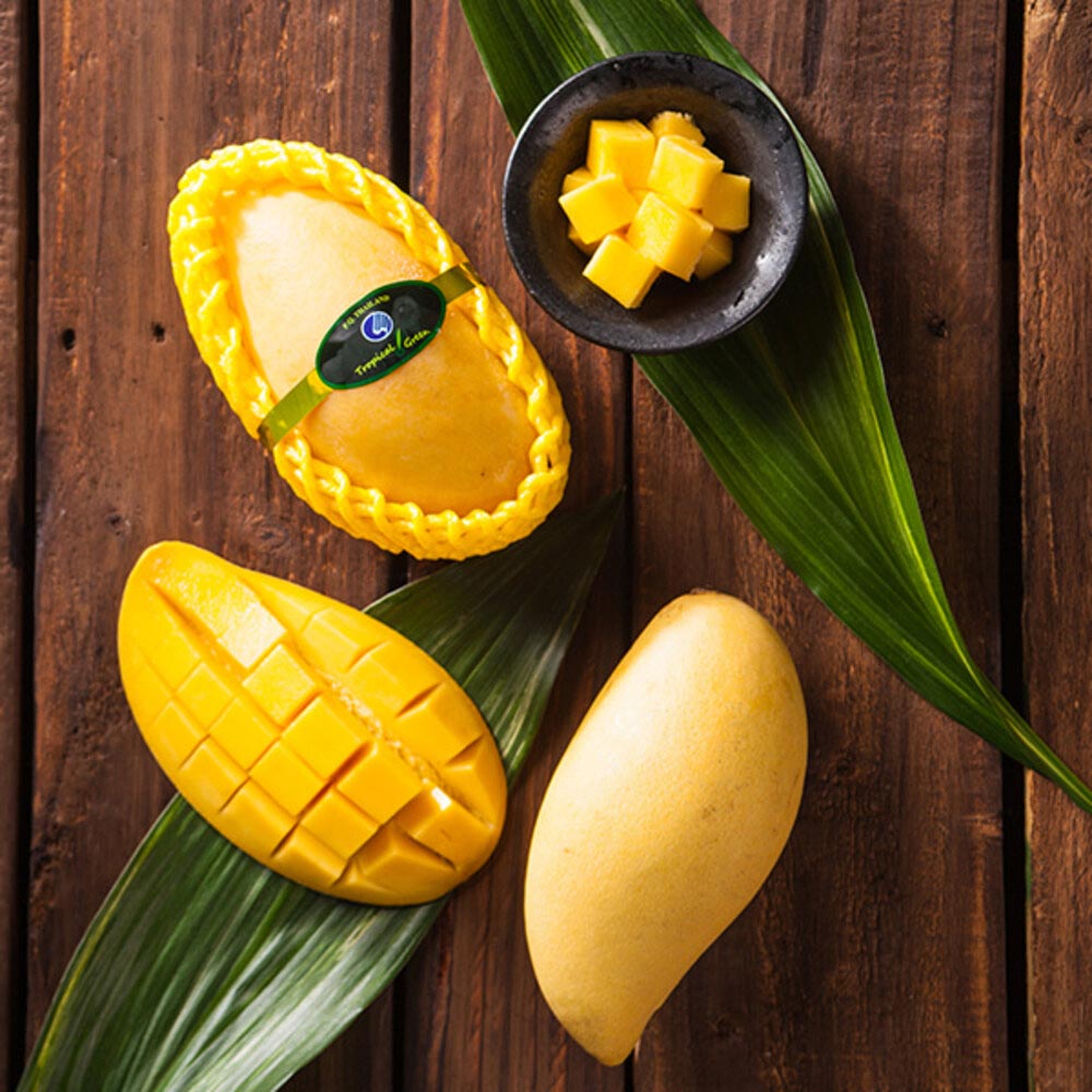 1718683062 thumbnail