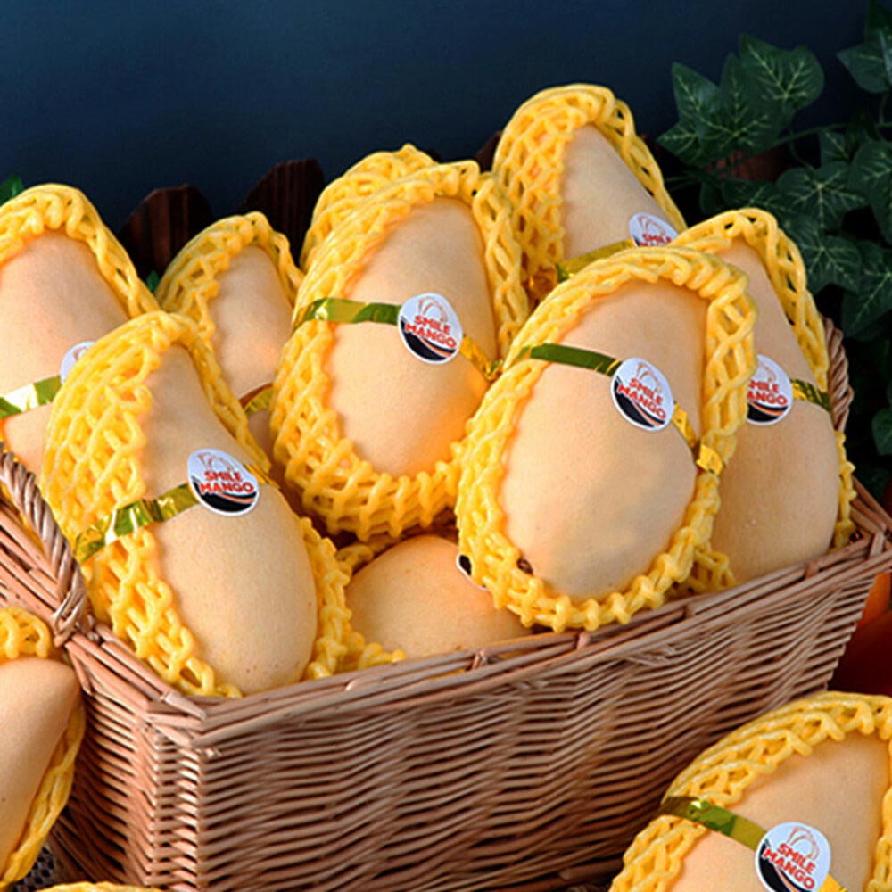 1718683065 thumbnail