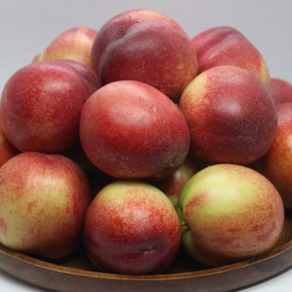 1718692391 thumbnail