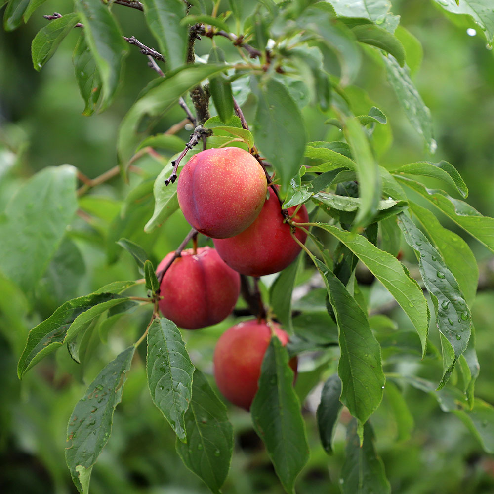 1718700194 thumbnail