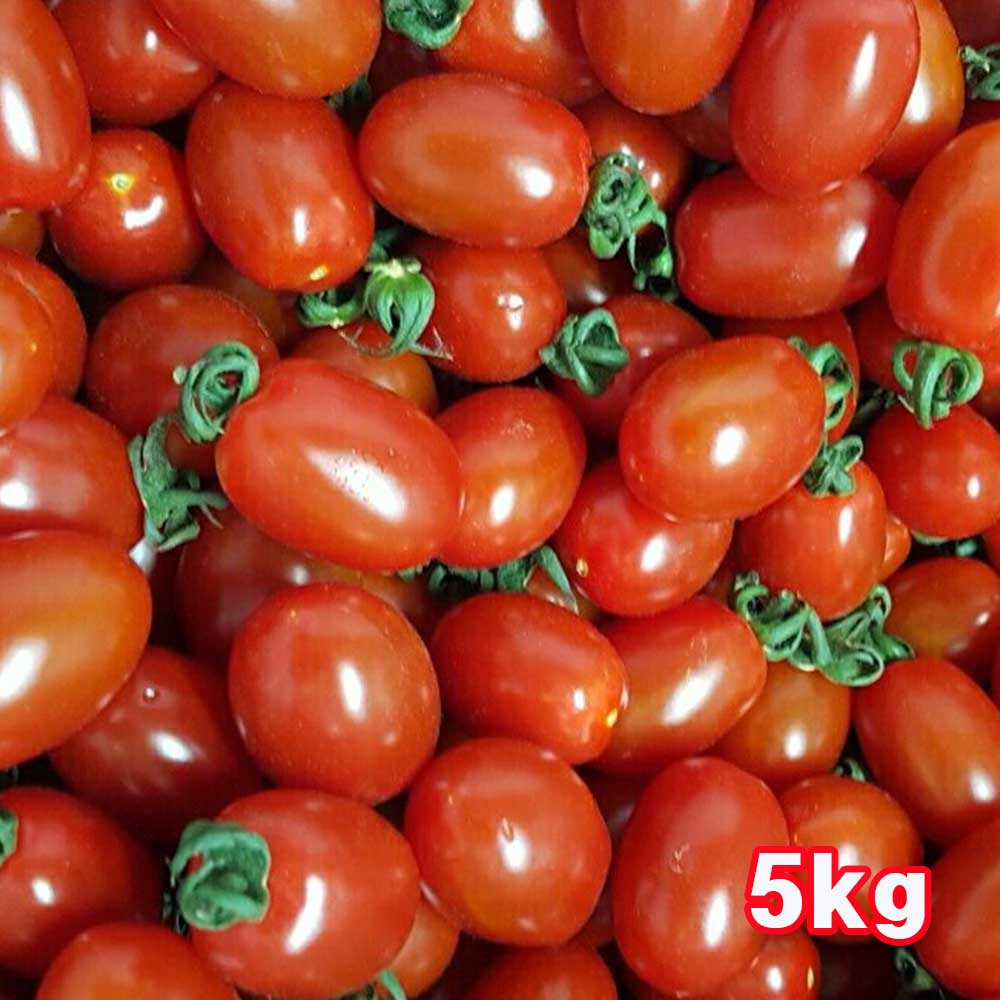 1718874092 thumbnail