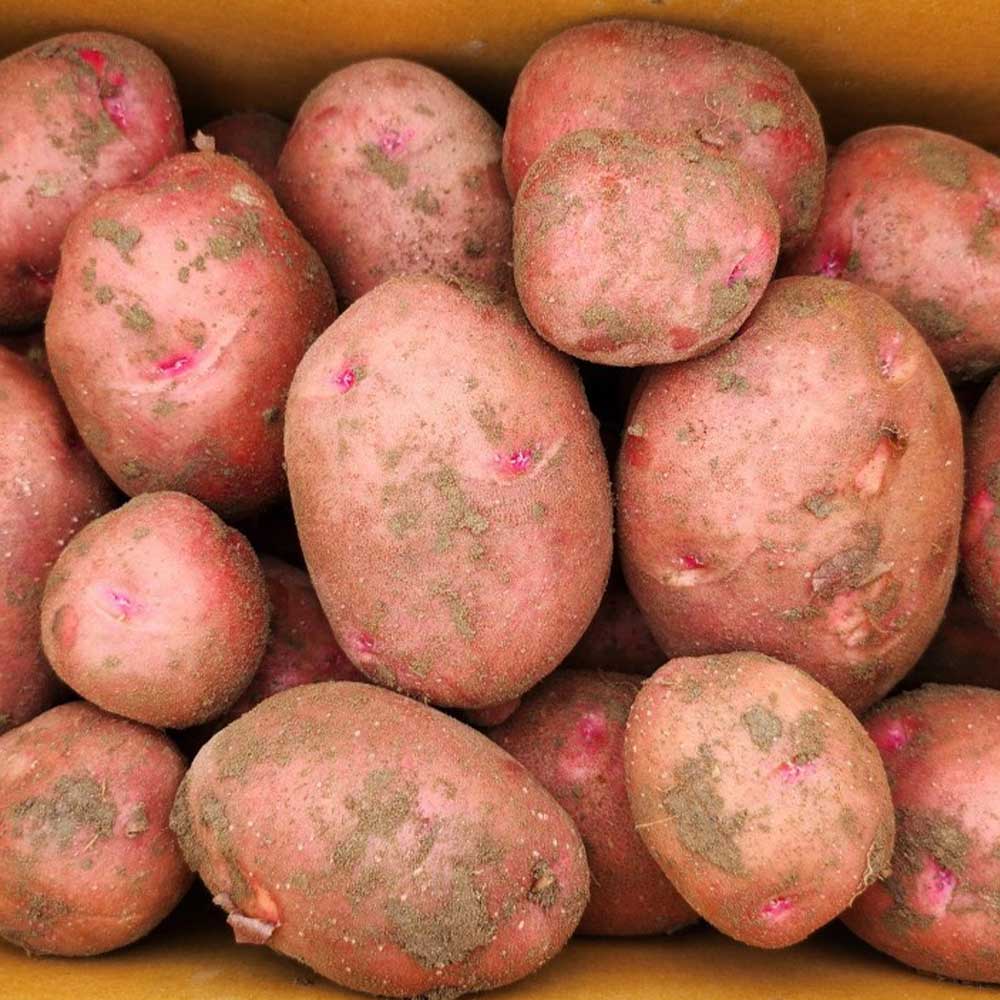 1718874103 thumbnail