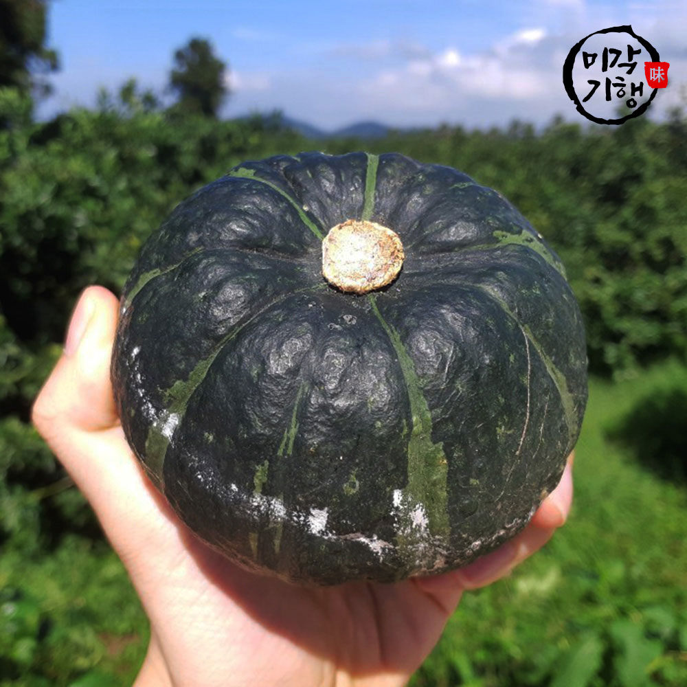 1719193509 thumbnail