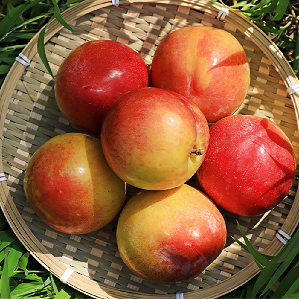 1719296088 thumbnail