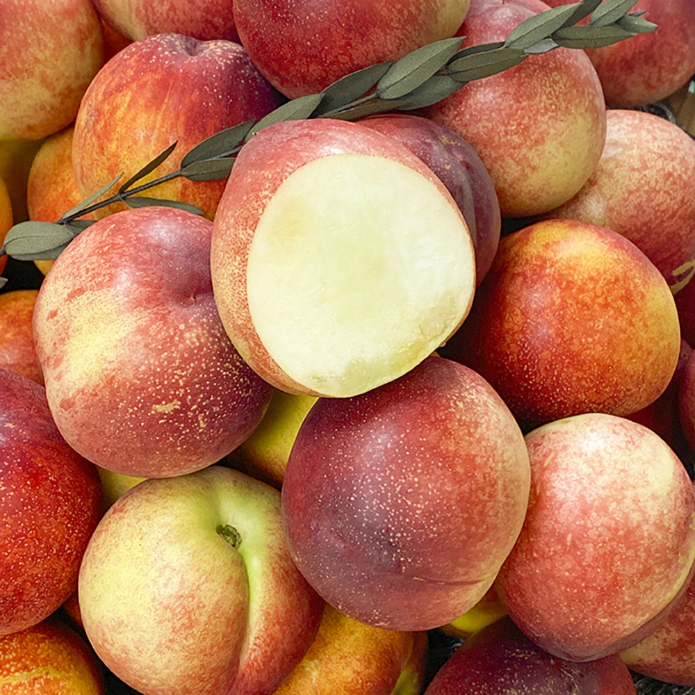 1719296123 thumbnail