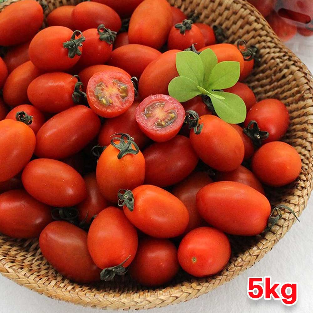 1719392910 thumbnail