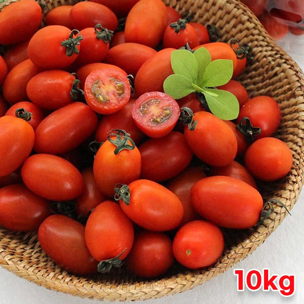 1719392911 thumbnail