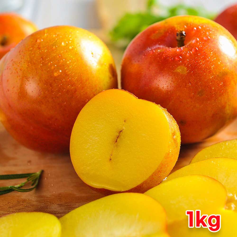 1719392912 thumbnail