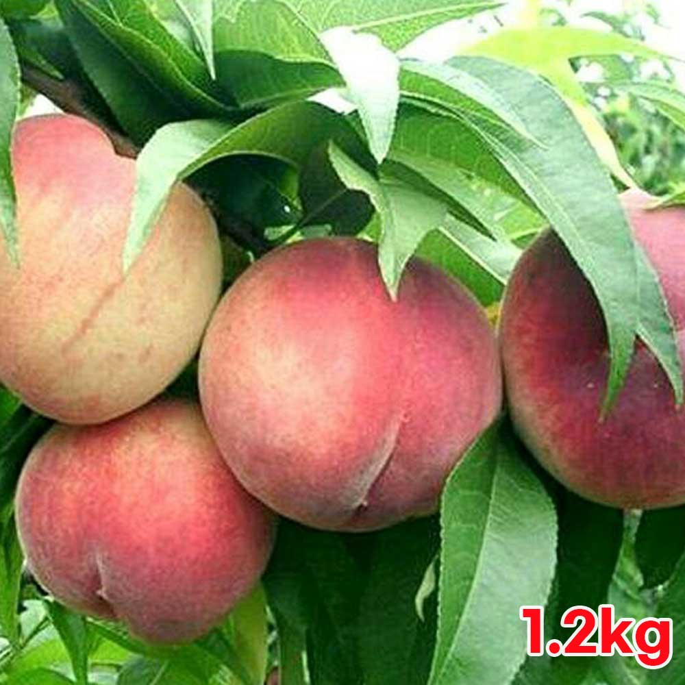 1719392914 thumbnail