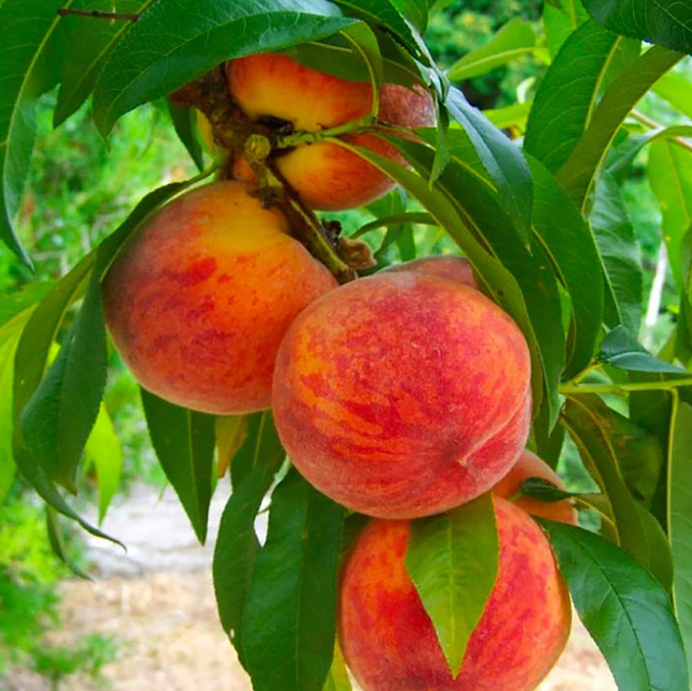 1719467393 thumbnail