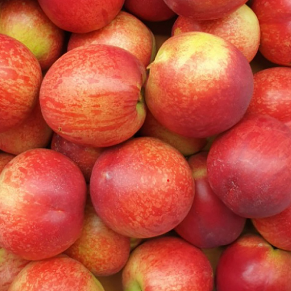 1719467402 thumbnail