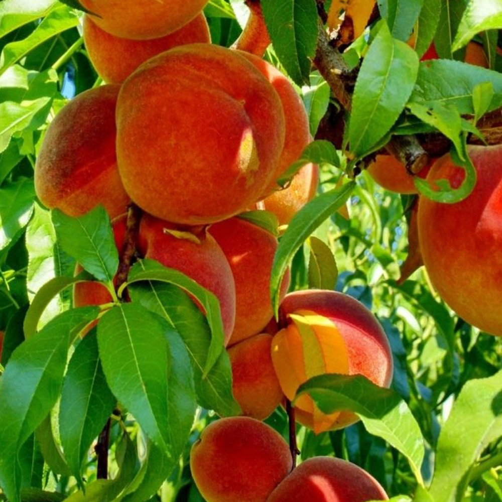 1719467409 thumbnail