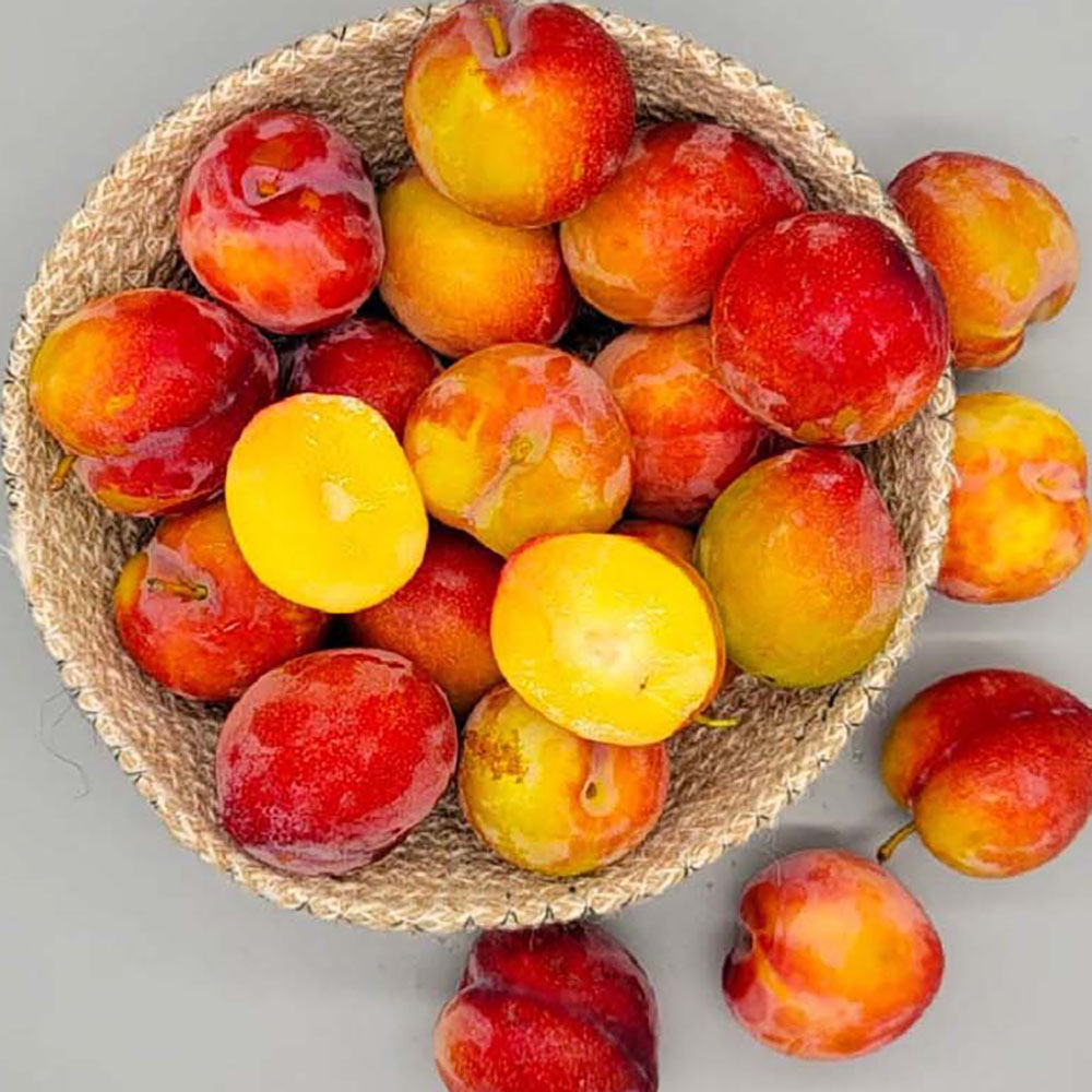 1719467418 thumbnail