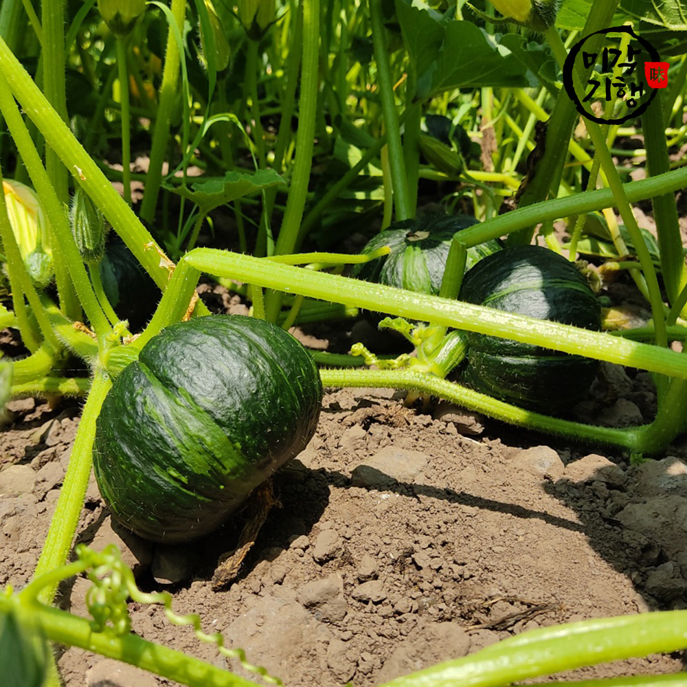 1719467477 thumbnail