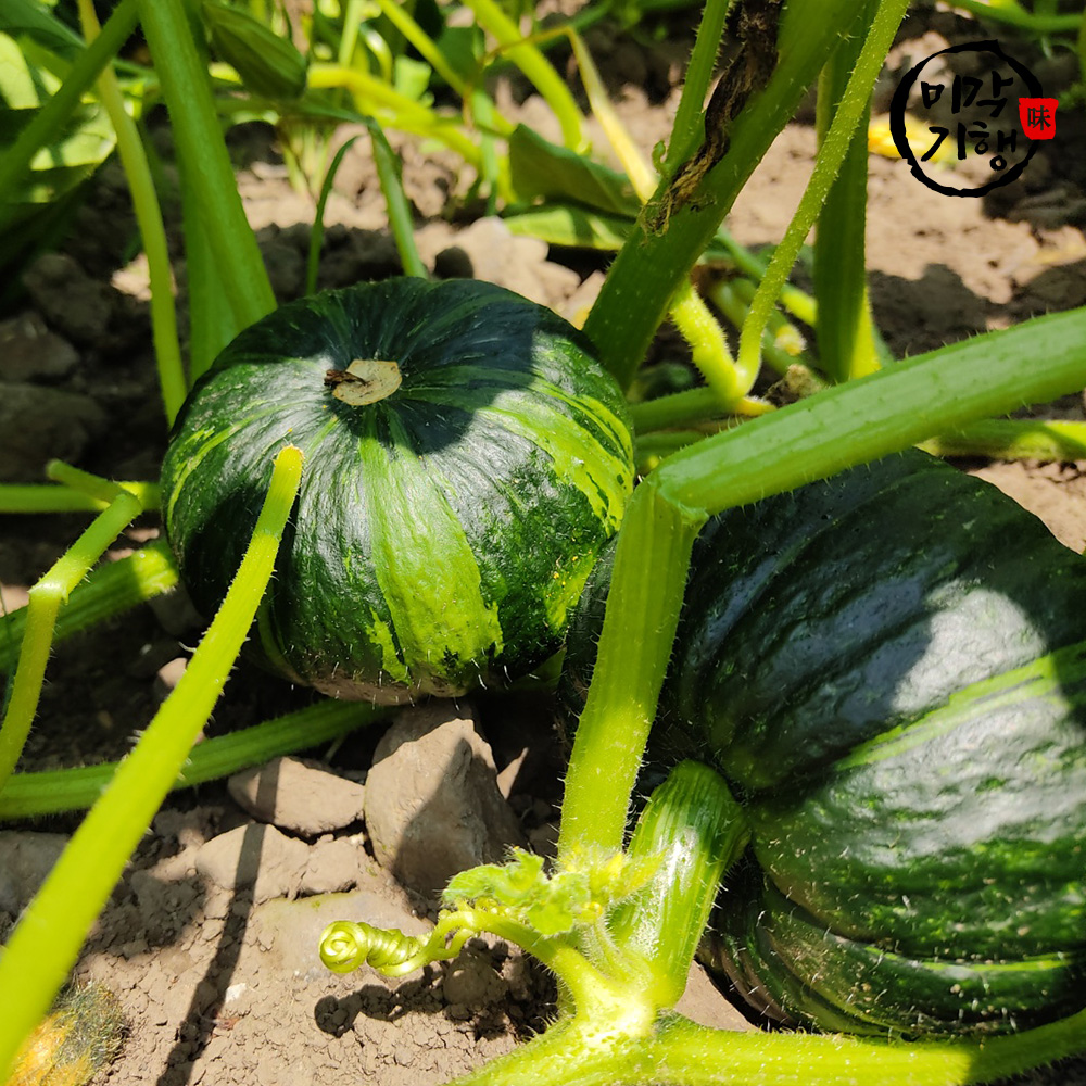 1719467478 thumbnail