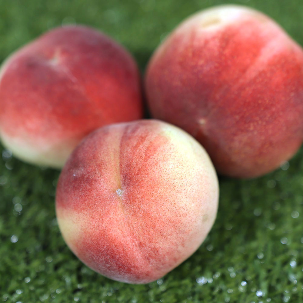 1719537409 thumbnail