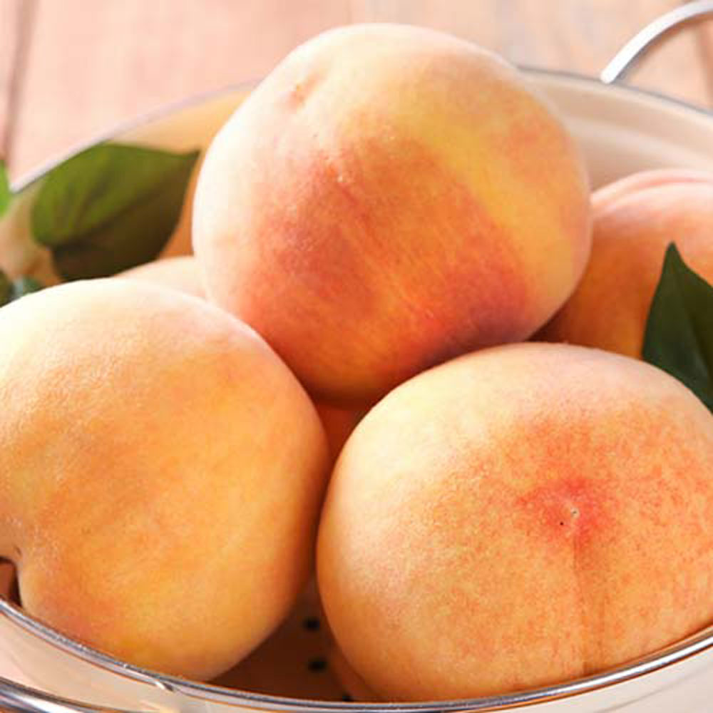 1719537414 thumbnail