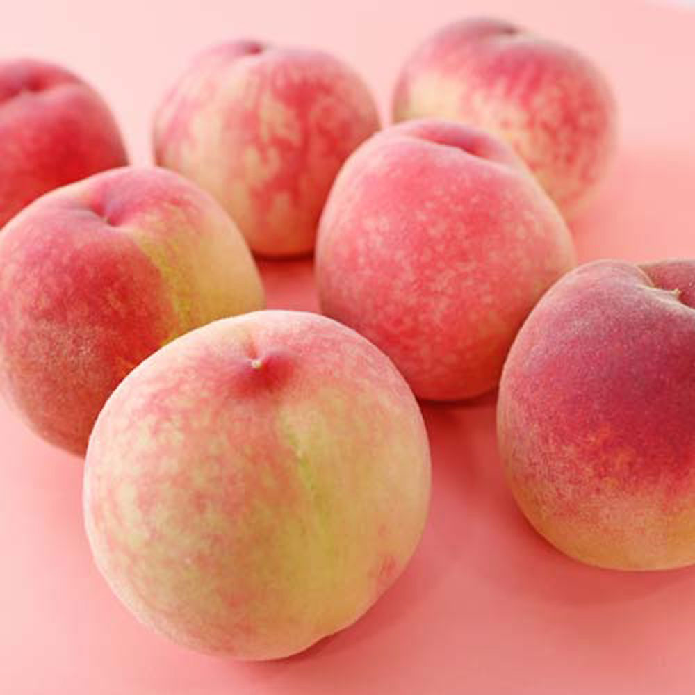 1719537423 thumbnail