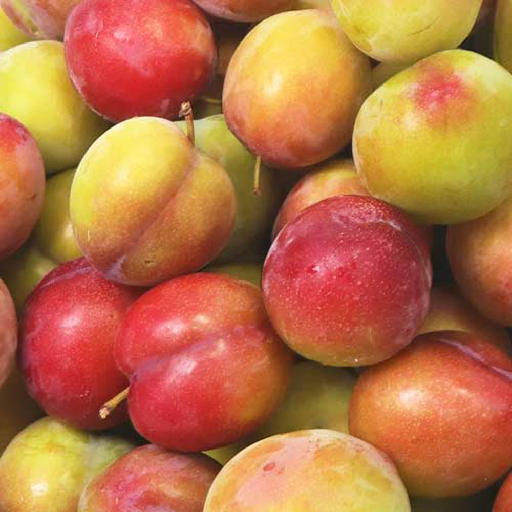 1719537436 thumbnail