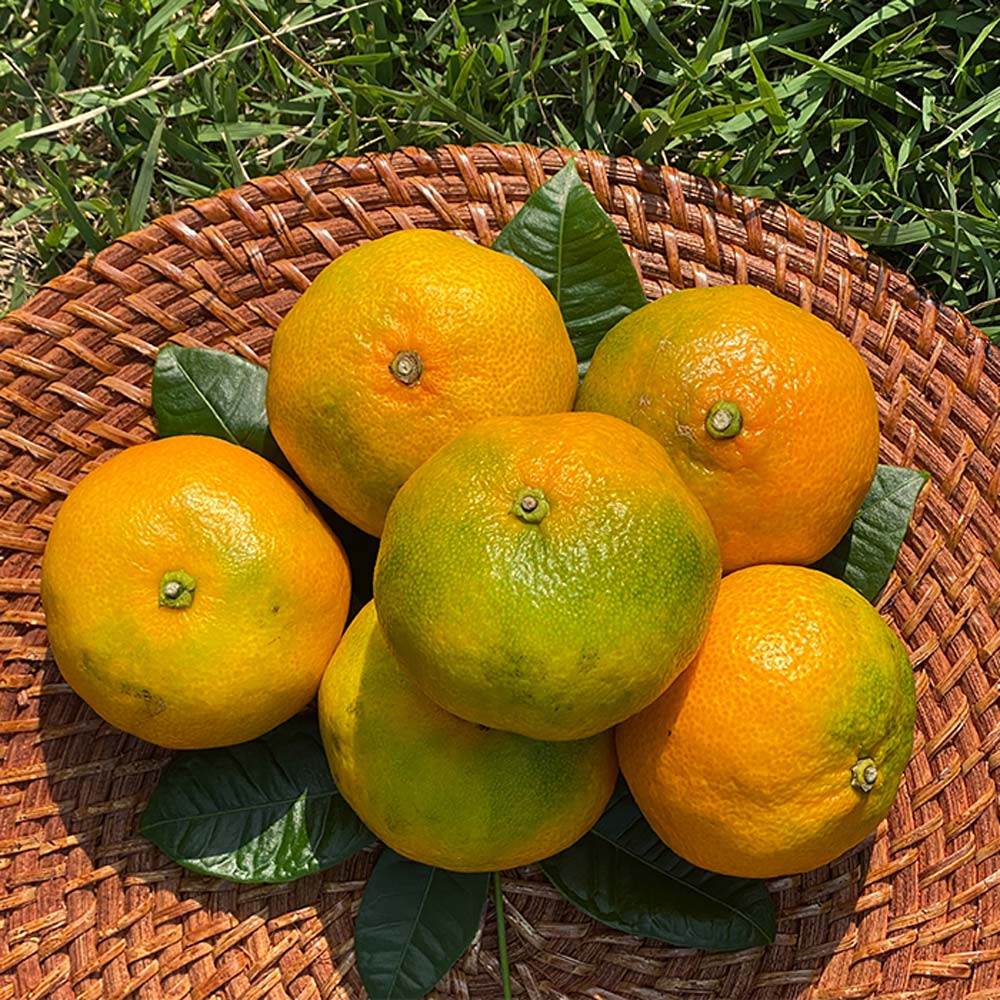 1719537443 thumbnail