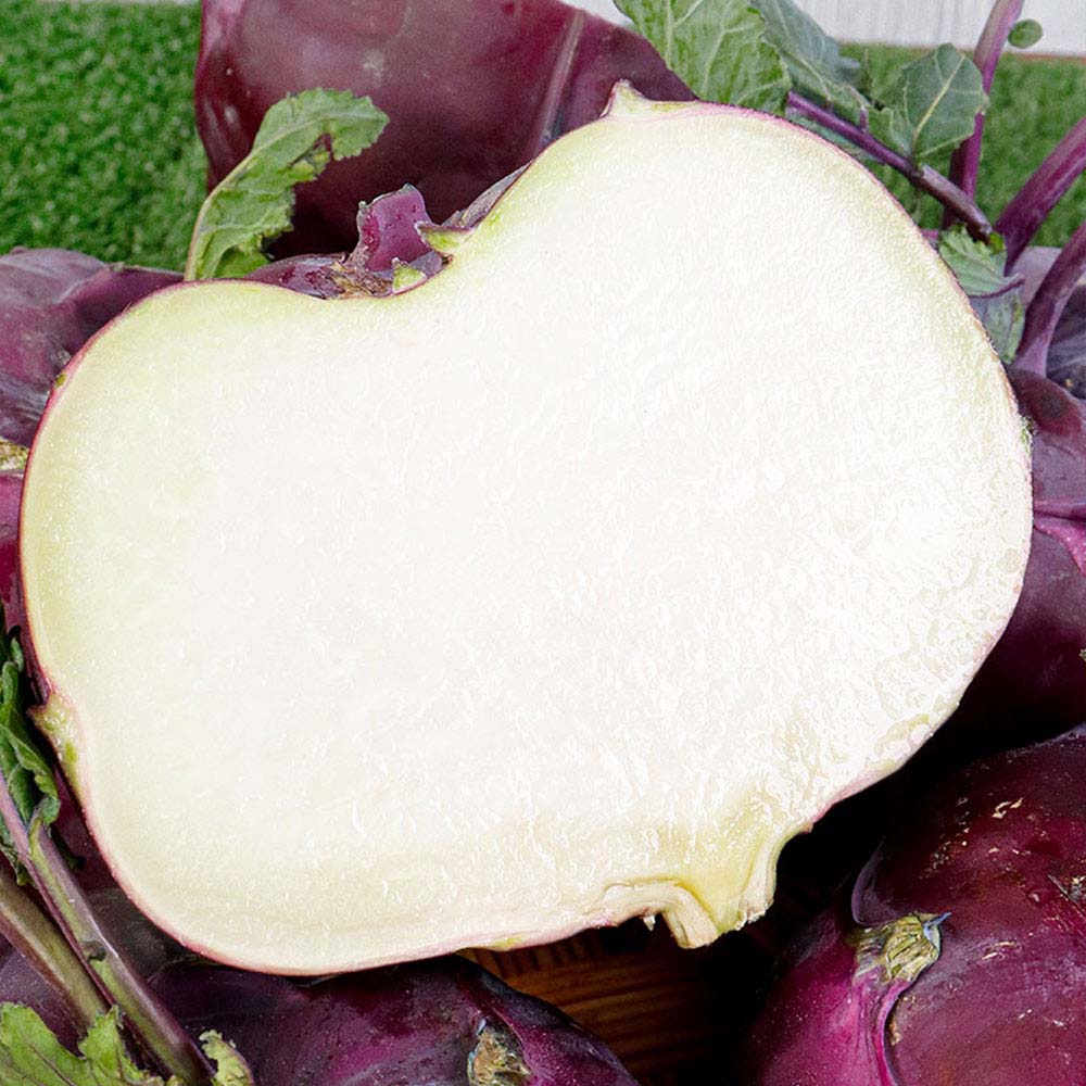 1719820170 thumbnail