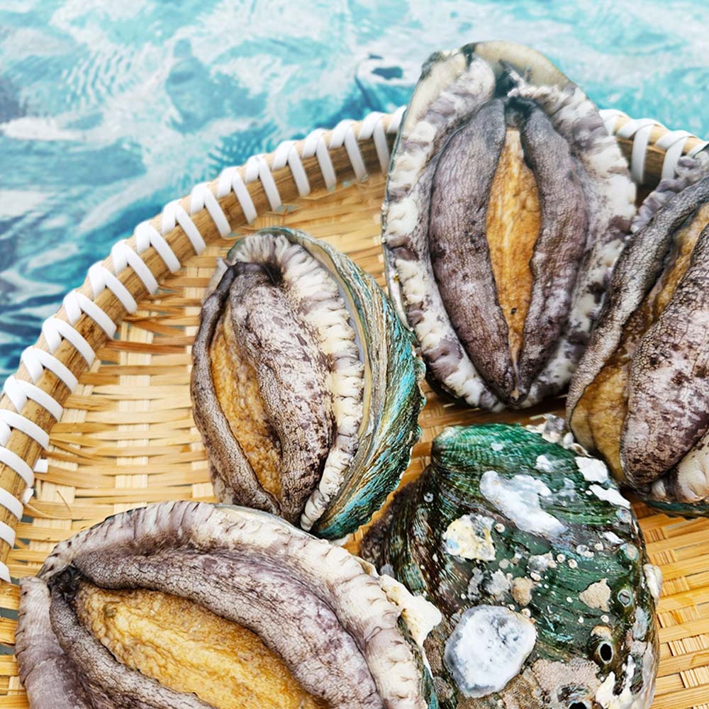 1719820173 thumbnail