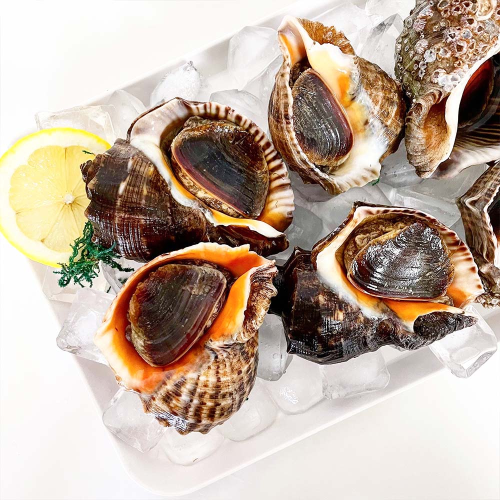 1719820182 thumbnail