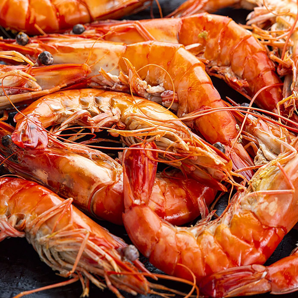 1719984431 thumbnail