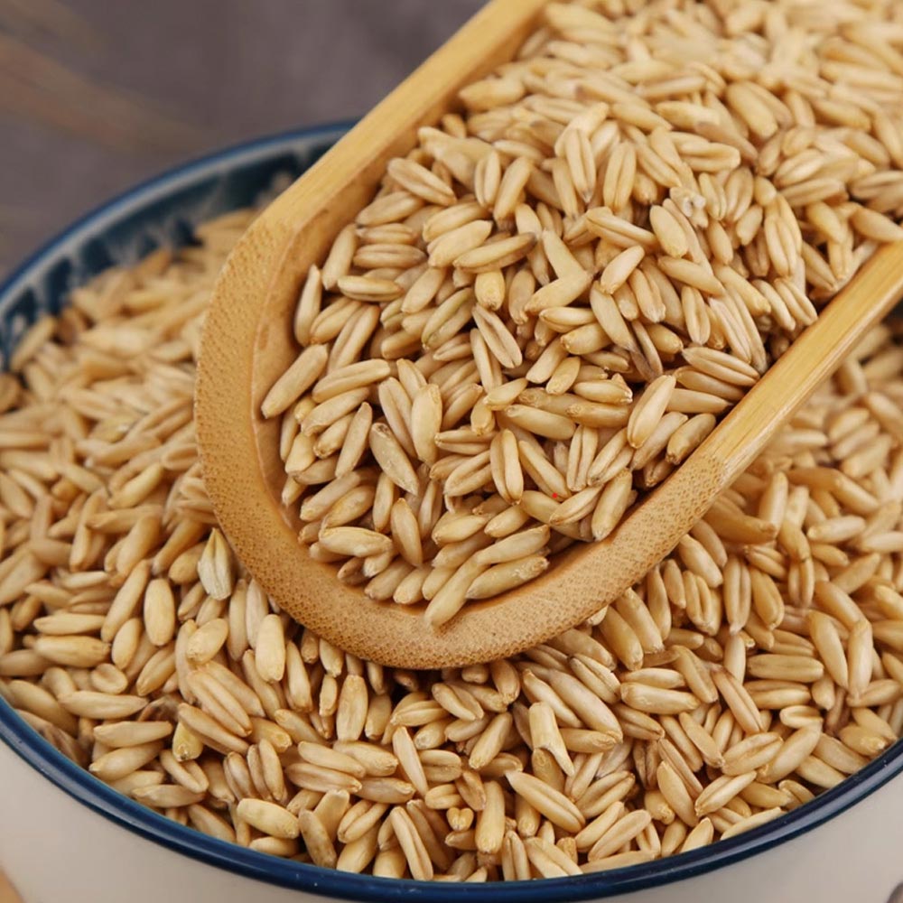 1720070890 thumbnail