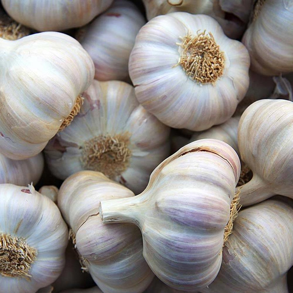 1720070894 thumbnail