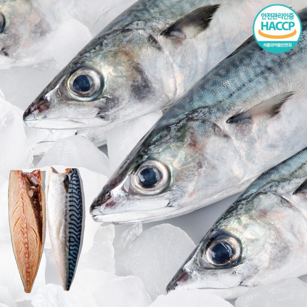 1720144241 thumbnail