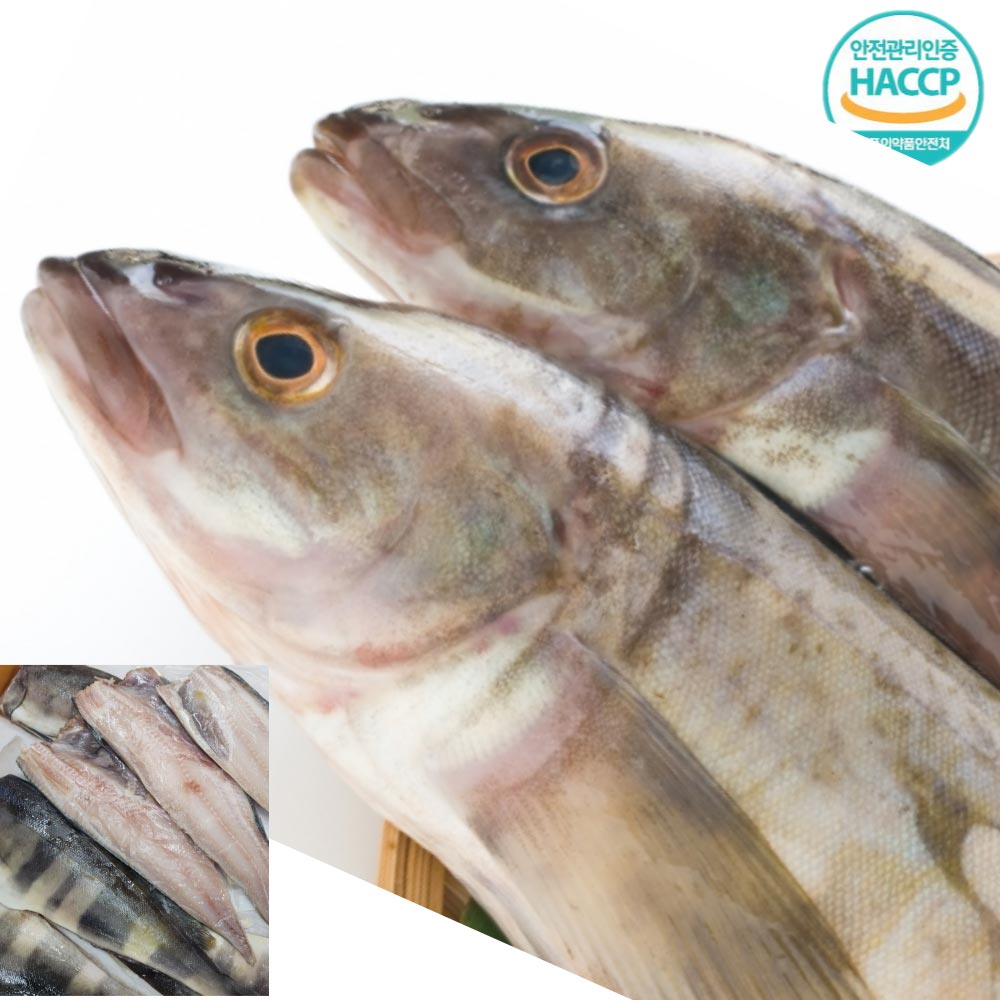 1720144243 thumbnail