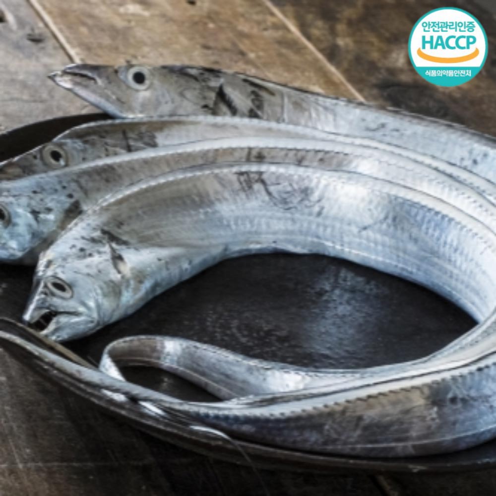 1720144244 thumbnail