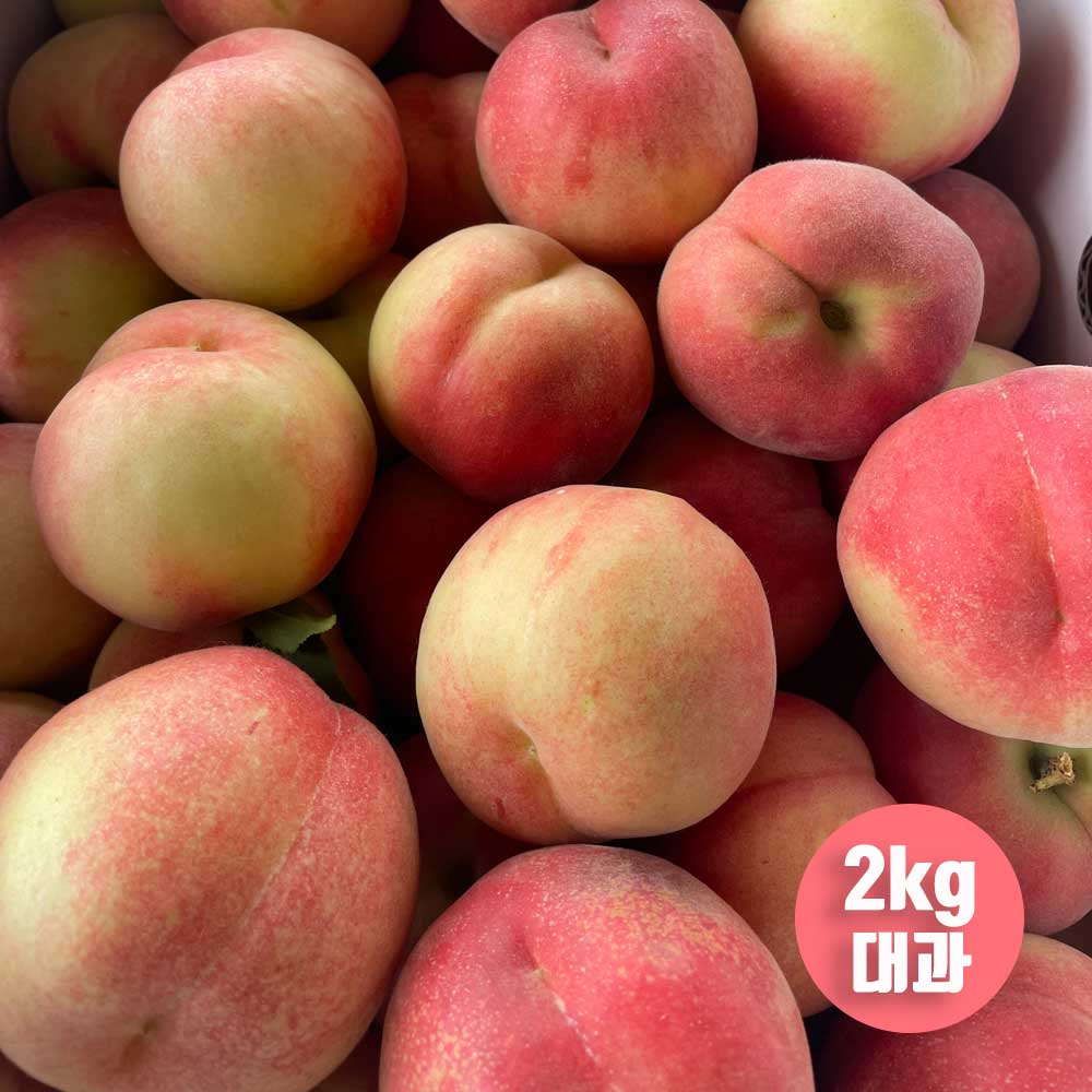 1720162077 thumbnail