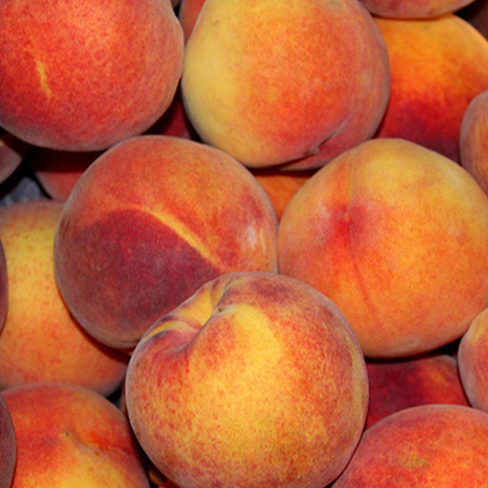 1720163375 thumbnail