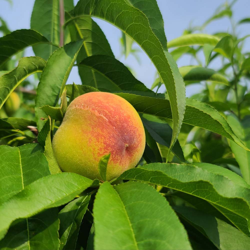 1720163388 thumbnail